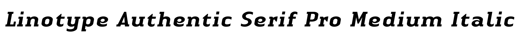 Linotype Authentic Serif Pro Medium Italic image